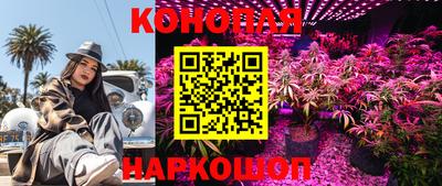 МДПВ Краснодар